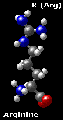 Composition chimique de la l-arginine