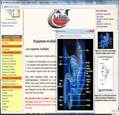 Capture d'une page du programme